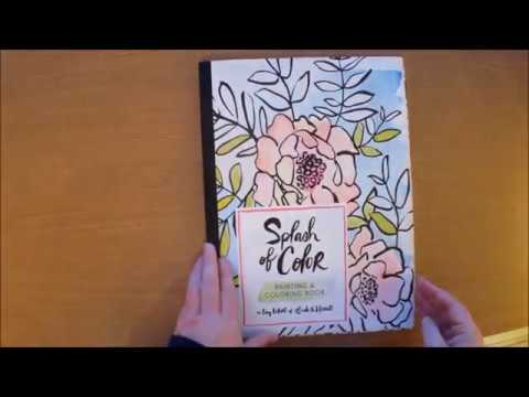 480x360 Splash Of Color Painting And Coloring Book By Liz Libre Colouring - Painting Color Book