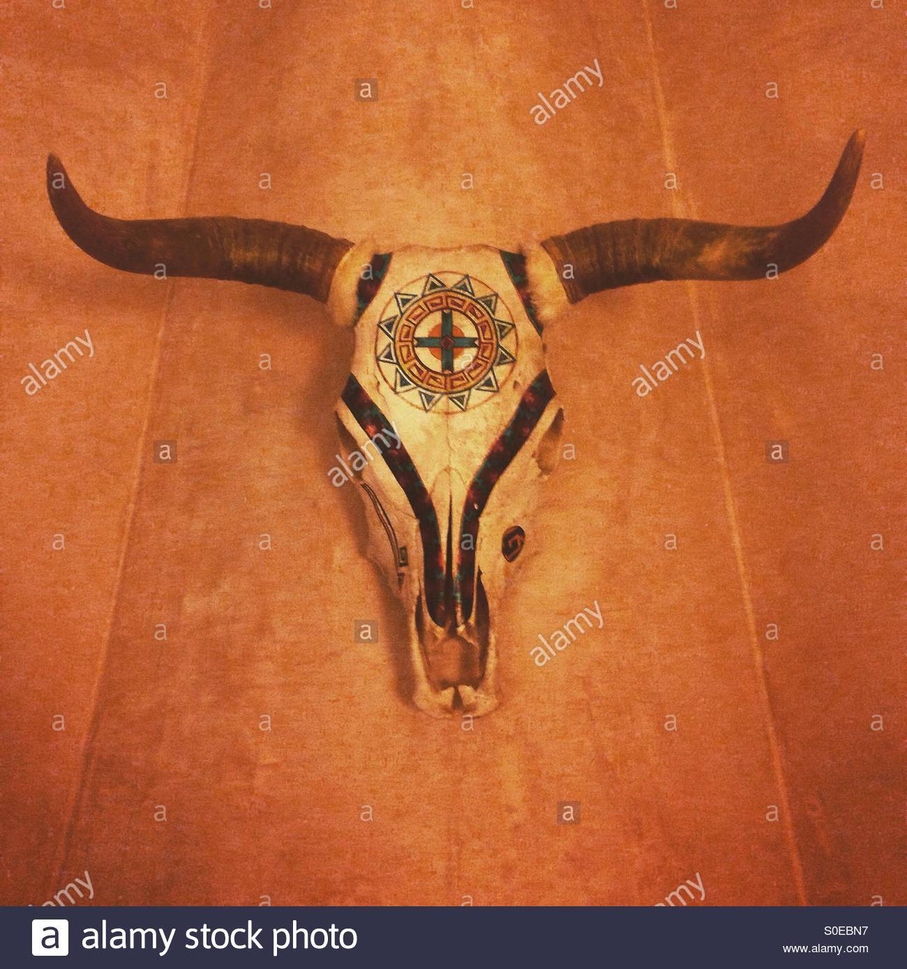 1300x1390 Painted Cow Skulls [Hd] Images Pin Wallpaper - Painting Cow Skulls