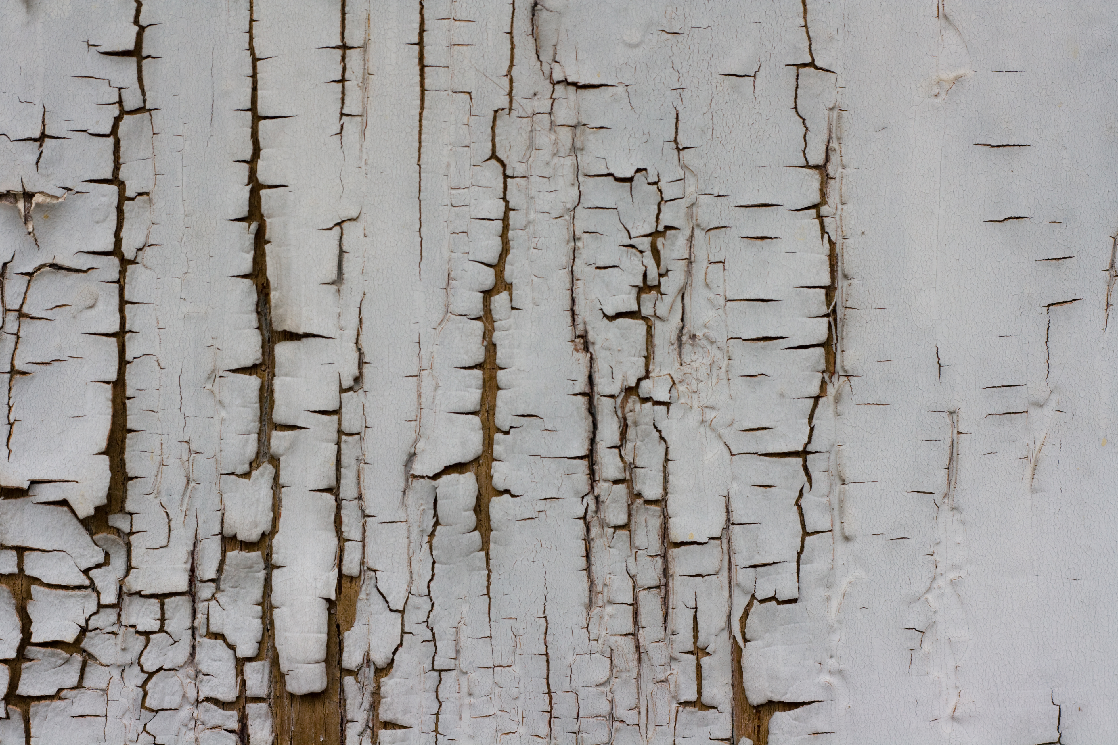 Painting Cracking On Walls at Explore collection