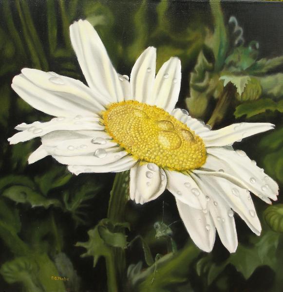 581x600 How To Paint A Daisy, Things To Really Look For. - Painting Daisy