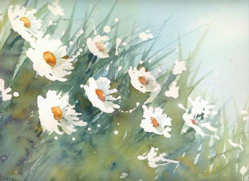 500x363 January 2006 Step By Step Loose Lazy Daisies Class Tutorial - Painting Daisy