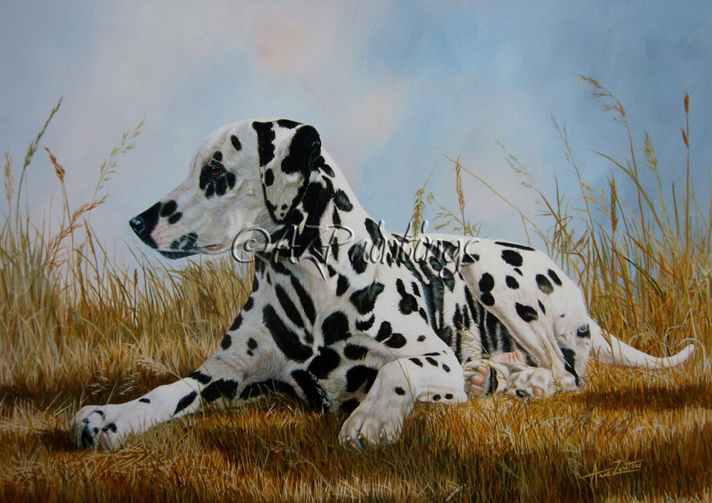 1000x706 A Pleasant Spot - Painting Dalmatian Spots.