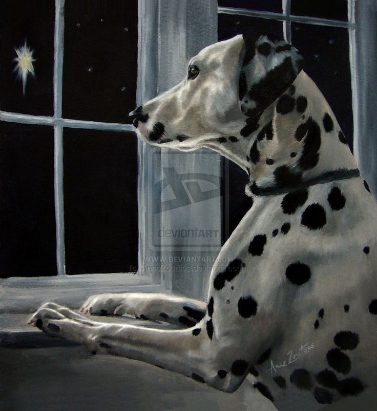 736x801 Christmas 4u Christmas Cheer! And Maybe A Little Bah, Humbug - Painting Dalmatian Spots