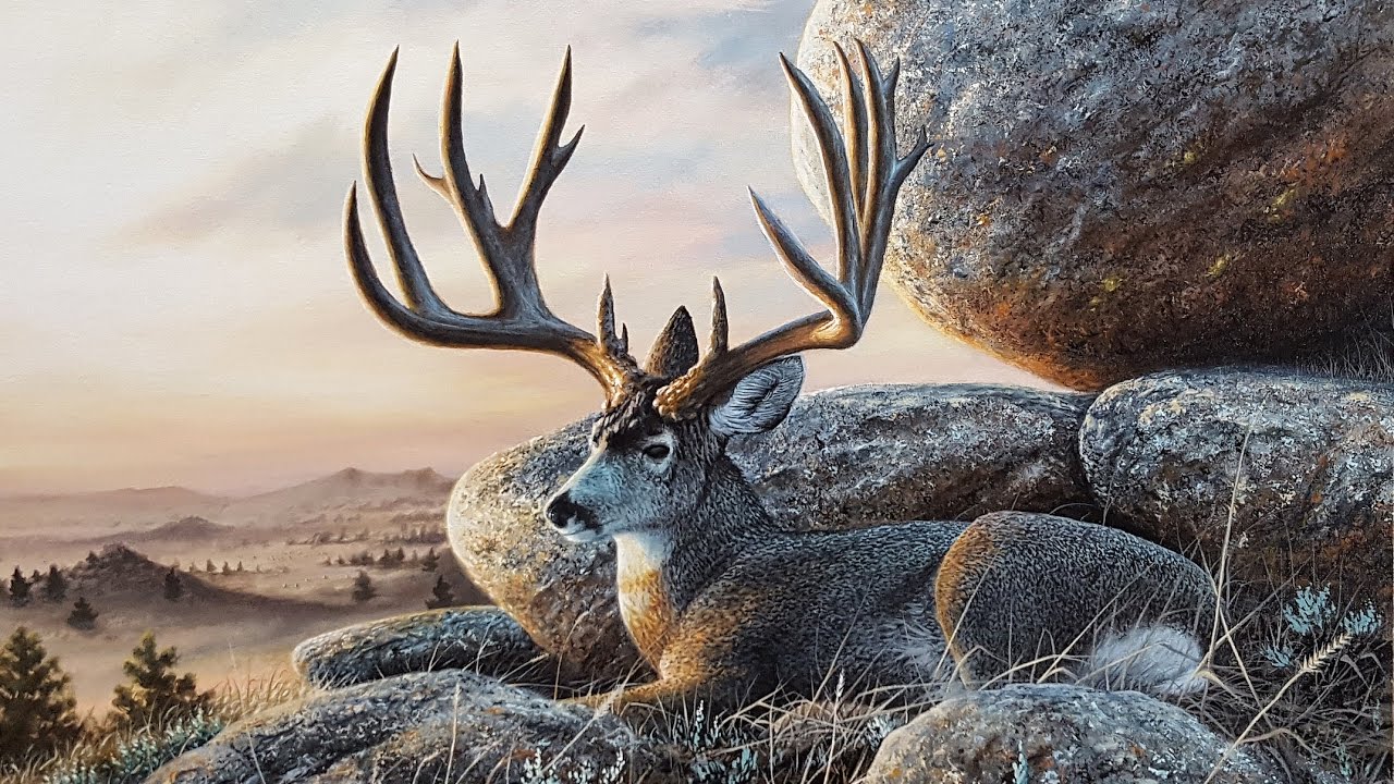 1280x720 Acrylic Landscape Speed Painting Mule Deer - Painting Deer