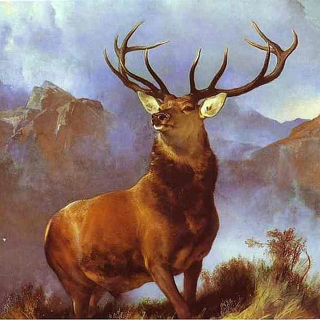 624x624 Art Now And Then Deer Paintings - Painting Deer