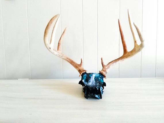 570x428 Galaxy Painting Deer Skull Galaxy Print Deer Head Deer - Painting Deer Antlers