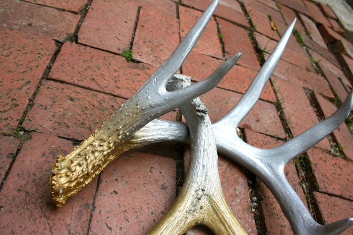 700x467 Diy Metallic Antlers - Painting Deer Antlers