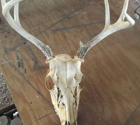 280x250 Diy Painted Deer Antlers Hometalk - Painting Deer Antlers