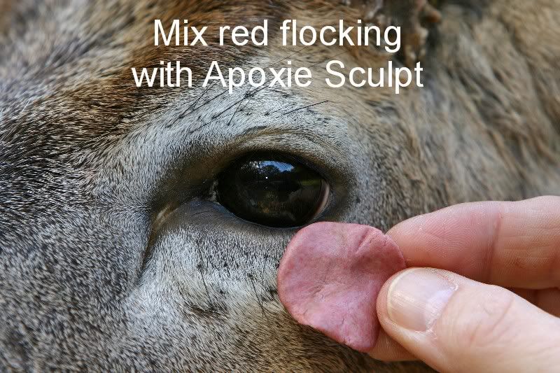 800x533 Finishing Whitetail Eye With Oil Paints Deer Eye Painting - Painting Deer Eyes