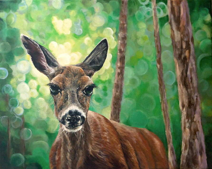 891x710 Melissa Adams Art Doe Eyes - Painting Deer Eyes