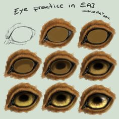 236x236 29 Best Craft Painting Images On Frogs, Rainforests - Painting Deer Eyes