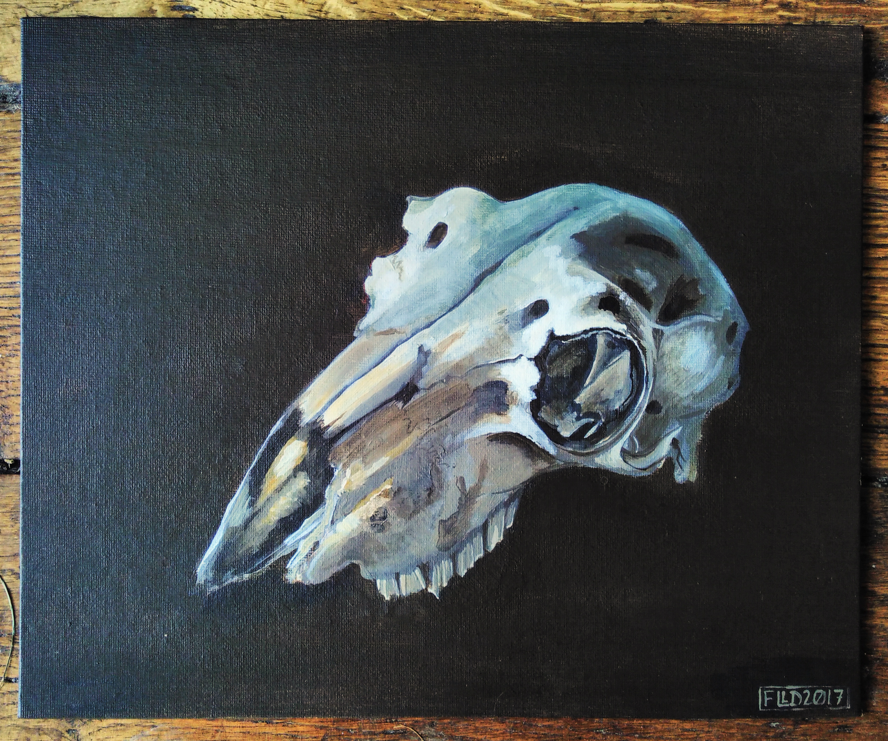 2865x2392 Red Deer Doe Skull Original Painting Original Art - Painting Deer Skull