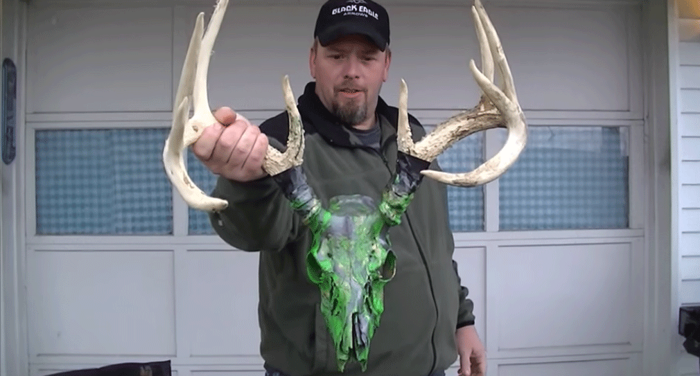 1010x543 How To Dip A Deer Skull With Spray Paint (Diy) - Painting Deer Skull