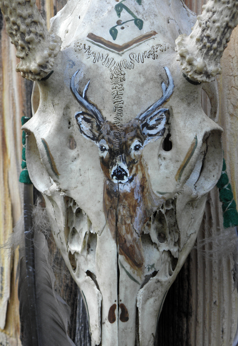 800x1164 New Deer Skull Painting - Painting Deer Skull