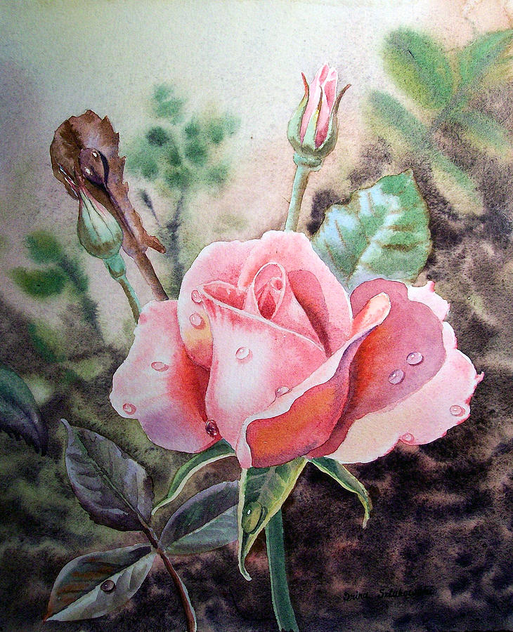 730x900 Pink Rose With Dew Drops Painting By Irina Sztukowski - Painting Dew Drops