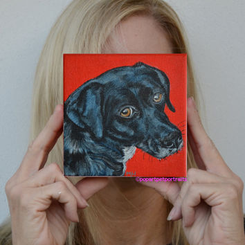 354x354 Shop Pop Art Dog Paintings On Wanelo - Painting Dog Portraits Acrylic