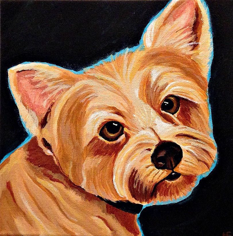 812x820 Custom Pet Portrait, Hand Painted In Acrylic, 12 X 12, Dog - Painting Dog Portraits Acrylic