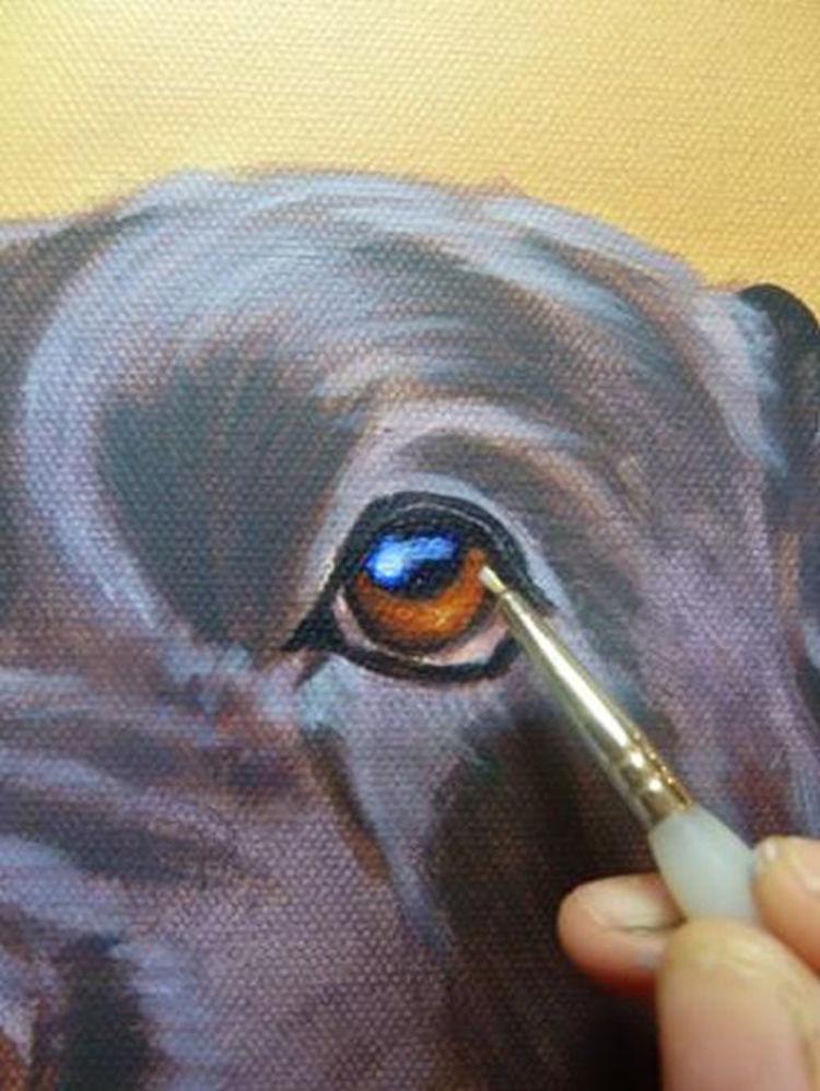 750x998 How To Paint A Dog In Acrylics Arttutor - Painting Dogs