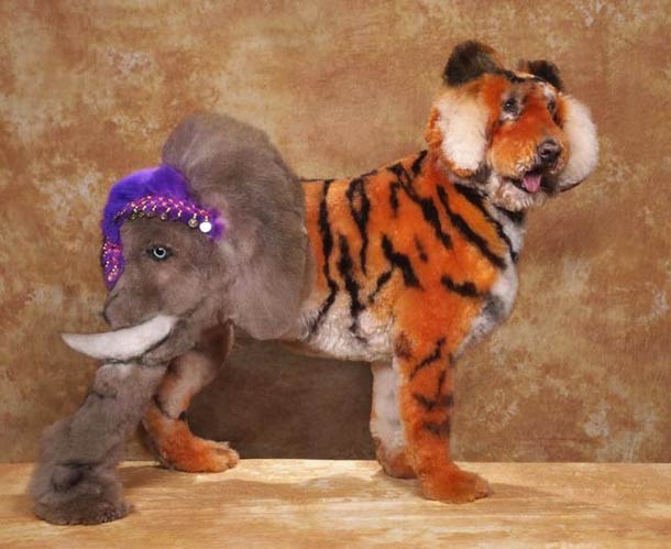 610x499 Magazine Arts London - Painting Dogs