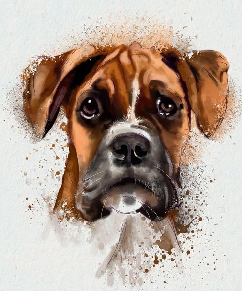 500x600 Shop Dogs, Dog, Cute Dog, Animals Paintings Online - Painting Dogs