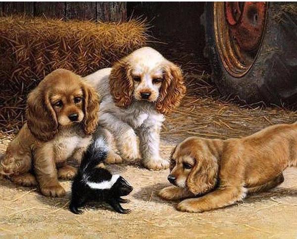 600x482 Diy Painting By Numbers - Painting Dogs