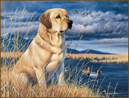 450x344 Dog Painting - Painting Dogs