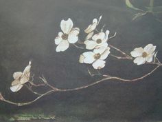 236x177 Dogwood Flowers Painted On Wood Inspiration - Painting Dogwood Flowers