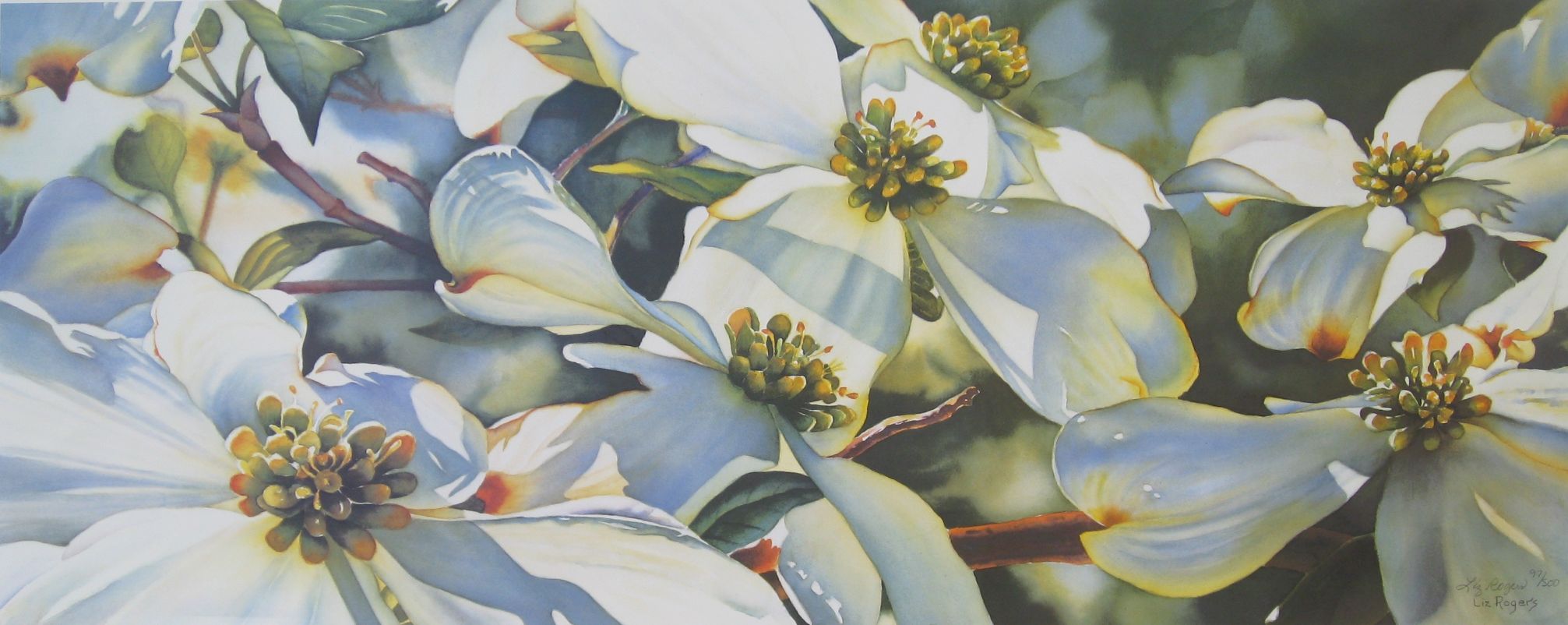 2013x802 Paintings Of Flowers For Kids Room Dogwood - Painting Dogwood Flowers