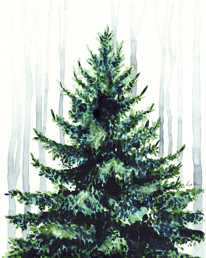 720x900 Evergreen Tree In Winter Woods Watercolor Painting Christmas - Painting Douglas Fir