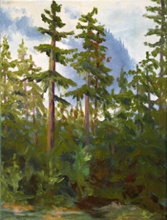 242x320 Painting North Cascades National Park - Painting Douglas Fir
