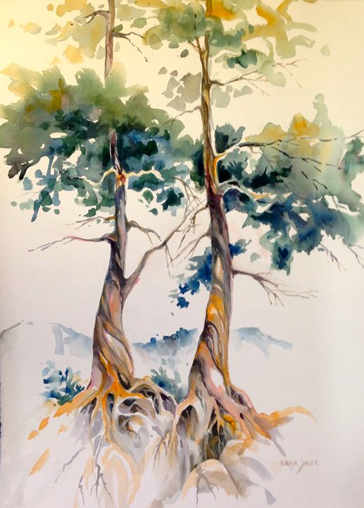 517x720 Wind Swept Douglas Firs - Painting Douglas Fir