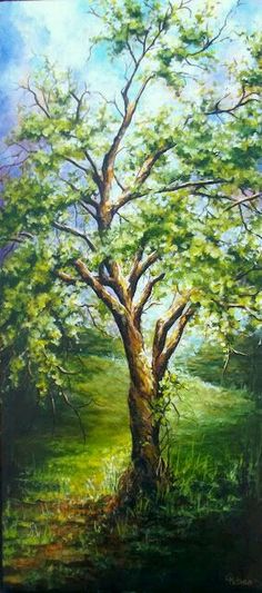 236x533 Douglas Fir Tree Painting Large Original Pastel Painting Karen - Painting Douglas Fir