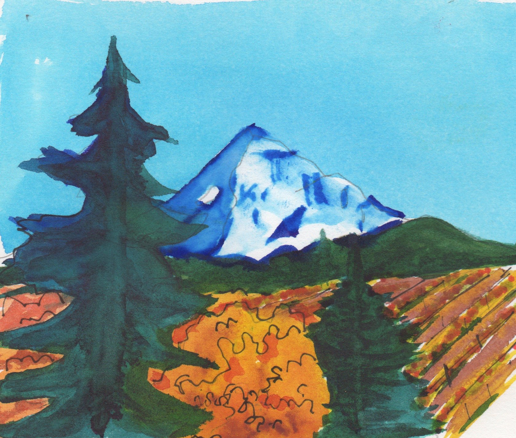 1679x1426 Douglas Fir Amp Mt. Hood Art Elements Gallery - Painting Douglas Fir