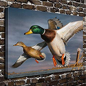 Painting Duck