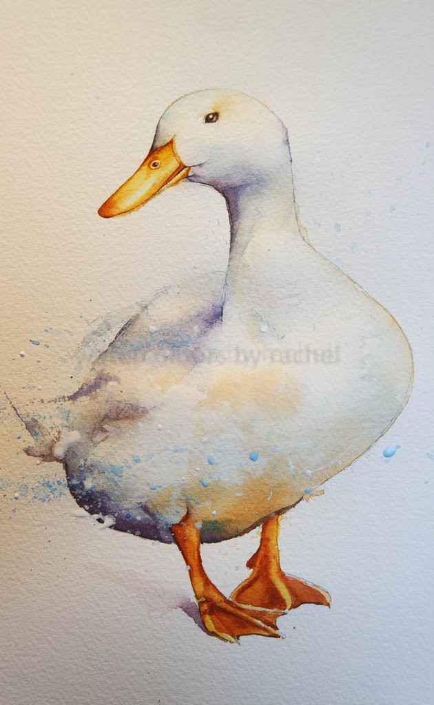 630x1024 How To Paint A White Duck On White Paper. Watercolours By Rachel - Painting Duck