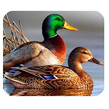 355x355 Oil Painting Mallard Duck Art Bird Non Skid Natural - Painting Duck