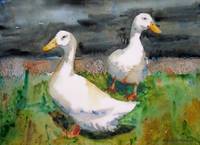 200x145 Stunning Ducks Watercolor Painting Reproductions For Sale - Painting Duck
