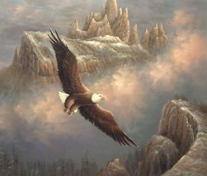 300x255 24x20 Oil Painting On Canvas, Eagle In Flight, Hand Painted Ebay - Painting Eagle