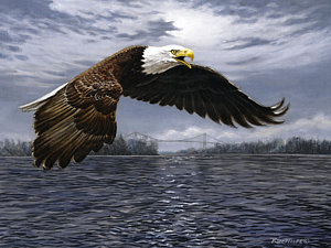 300x225 Bald Eagle Paintings Fine Art America - Painting Eagle