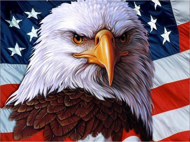 656x492 American Bald Eagle Amp Flag Diamond Painting Embroidery Kit 5d - Painting Eagle