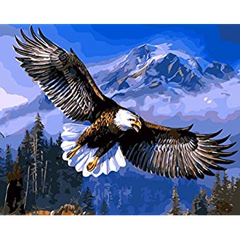 350x350 Diy Oil Painting, Adult Children's Hand Painting - Painting Eagle