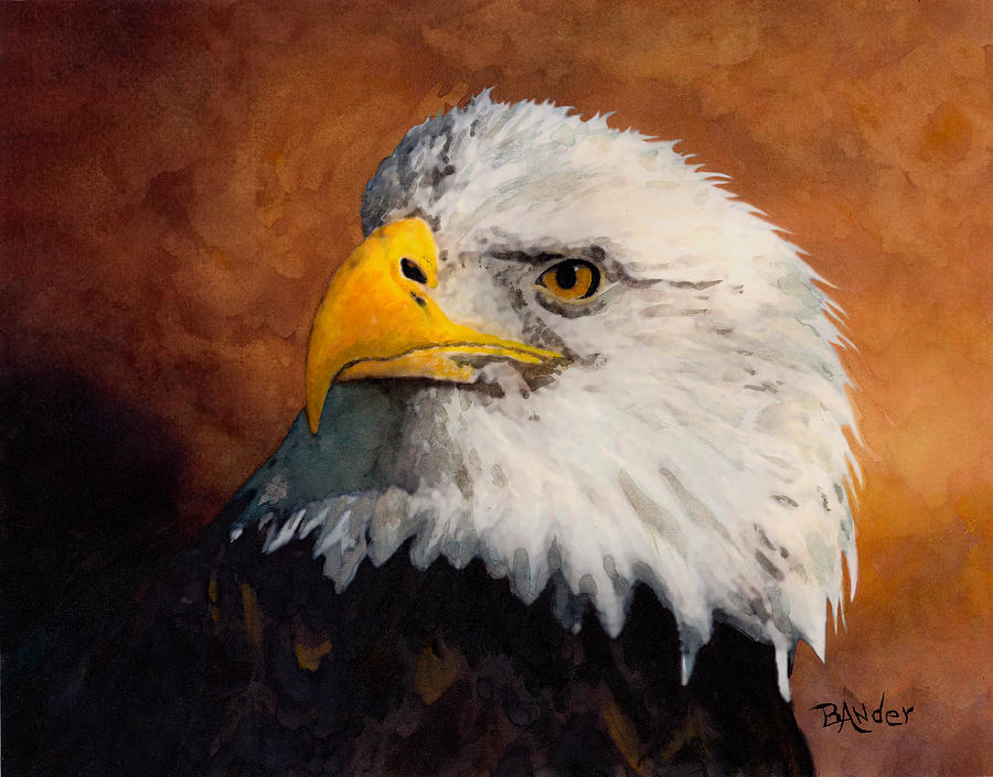 900x705 Stormy Eagle Painting By Brent Ander - Painting Eagle