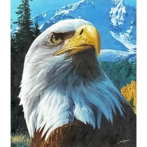 300x300 American Bald Eagle Premium Diy Diamond Painting Kit Full - Painting Eagle