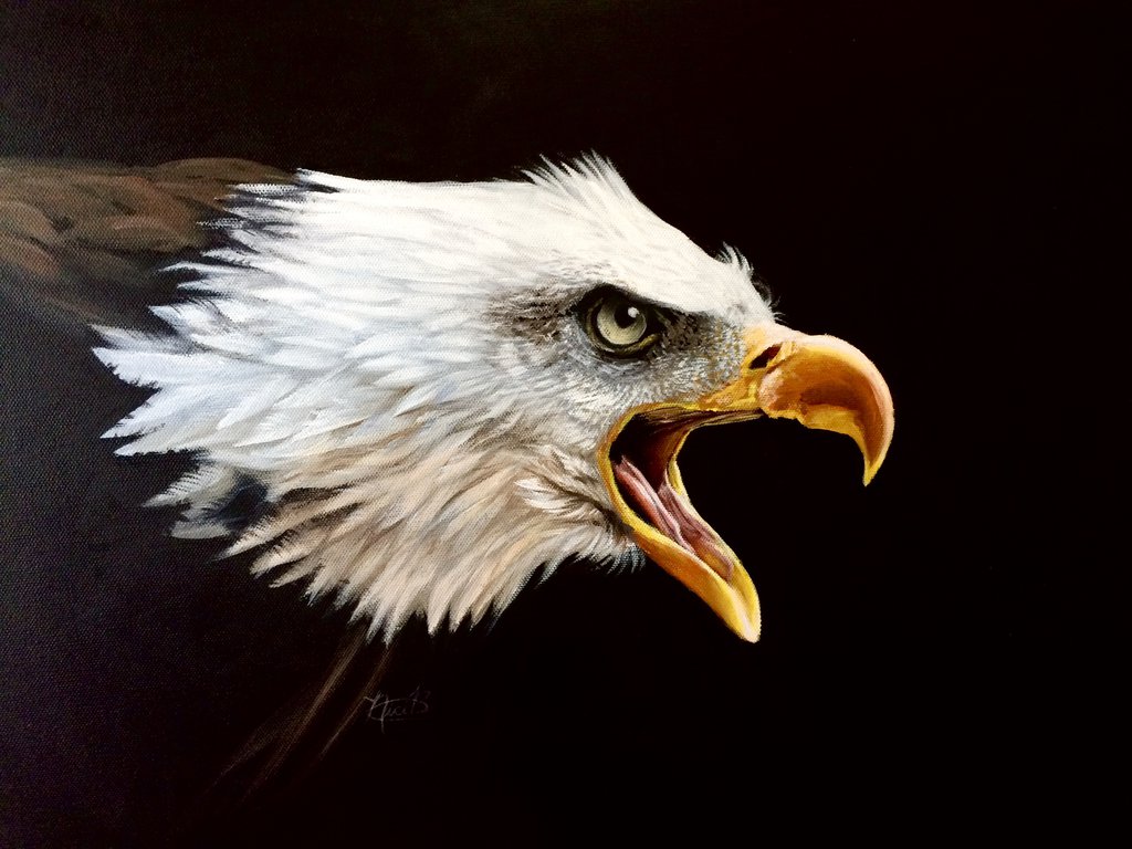 1024x768 Bald Eagle - Painting Eagle