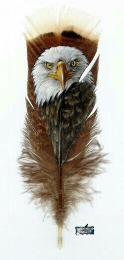 250x522 Pin By Susan Carrell On Eagles Feathers, Eagle - Painting Eagle Feathers