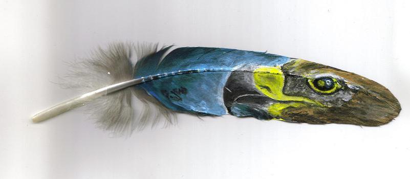 801x350 Golden Eagle Feather Painting By Atrafeathers - Painting Eagle Feathers