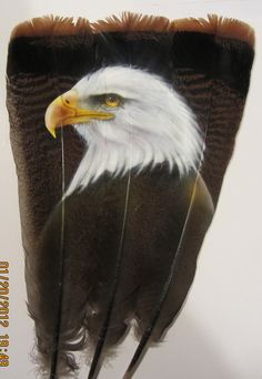 236x342 Great Feather Art Of An Owl ~ Great Feathers ~ - Painting Eagle Feathers