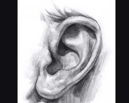 450x358 How To Draw An Ear - Painting Ear