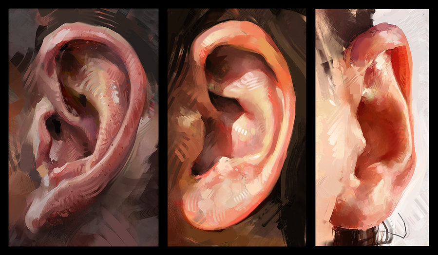 899x524 I'M All Ears By Aarongriffinart - Painting Ear