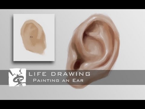 480x360 Painting An Ear - Painting Ear